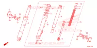 FORCELLA ANTERIORE/GAMBA STERZO per Honda SH 125 4ED 2023