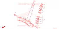 FORCELLA ANTERIORE/GAMBA STERZO per Honda SH 150 SPORTY 5ED 2023