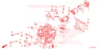 CILINDRO/TESTATA per Honda PCX 125 2ED 2023