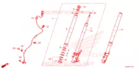 FORCELLA ANTERIORE per Honda GROM 125 ABS 2024