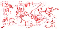 BARDATURA FILO per Honda PCX 125 2013