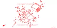 BATTERIA per Honda PCX 125 2013