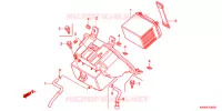 BATTERIA per Honda PCX 125 2010