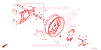 RUOTA POSTERIORE/BRACCIO OSCILLANTE per Honda PCX 125 2021