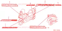 EMBLEMA/STRISCIA per Honda FORZA 250 ABS SPECIAL 2002
