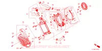 RADIATORE per Honda PCX 150 2022