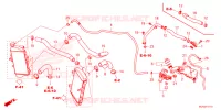     RADIATOR HOSE/WATER PIPE per Honda AFRICA TWIN 1100 2024
