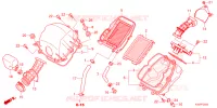 FILTRI ARIA per Honda CBR 150 R Đặc biệt, Special 2024