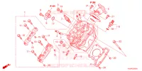 TESTATA per Honda CBR 150 R Đặc biệt, Special 2024