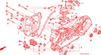 CASSA MANOVELLA/POMPA OLIO per Honda 50 DIO 1999