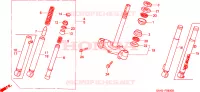 FORCELLA ANTERIORE/GAMBA STERZO per Honda 50 DIO 1999