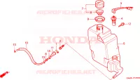 SERBATOIO OLIO per Honda 50 DIO 1999