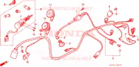 BARDATURA FILO per Honda BALI 50 1995