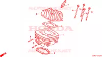 CILINDRO/TESTATA per Honda SFX 50 1995