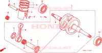 ALBERO A GOMITI/PISTONE per Honda SFX 50 1998