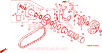 FACCIA AVVIATA per Honda SCOOPY 50 1996