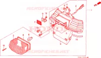 LUCE CODA per Honda NH 80 Suzuka factory 1989