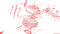 CILINDRO/TESTATA per Honda NH 80 1994