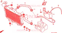 RADIATORE per Honda NSR 50 2000
