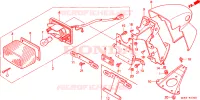 LUCE CODA per Honda SHADOW 50 1998