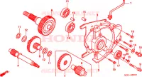 TRASMISSIONE per Honda SHADOW 50 1998