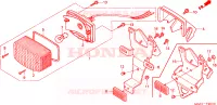 LUCE CODA(NPS503/5/6) per Honda ZOOMER 50 2009