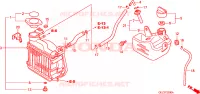 RADIATORE per Honda ZOOMER 50 2009