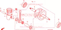 ALBERO A GOMITI/PISTONE per Honda SCOOPY 50 1994
