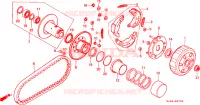 FACCIA AVVIATA per Honda SCOOPY 50 1994