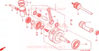ALBERO A GOMITI/PISTONE per Honda CRM 75 1989