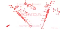 ALBERO A CAMME/VALVOLA per Honda ATC 250 BIG RED 1987