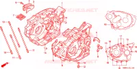 CASSA MANOVELLA per Honda TRX 300 SPORTRAX EX 1994