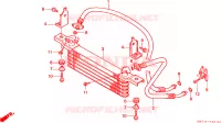 RINFRESCATORE OLIO per Honda FOURTRAX 400 FOREMAN 4X4 1996