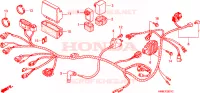 BARDATURA FILO  per Honda TRX 250 FOURTRAX RECON Electric Shift 2002