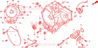 COPERTURA CASSA MANOVELLA (TRX250EX3/4/5/6/7/8) per Honda TRX 250 SPORTRAX EX 2004