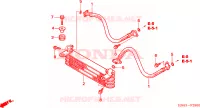 RINFRESCATORE OLIO per Honda TRX 250 SPORTRAX EX 2004