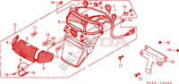 LUCE COMBINAZIONE POST. (1) per Honda BALI 100 EX 1996