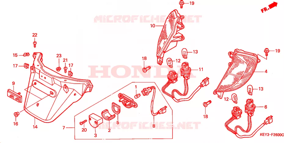 LUCE CODA/PARAFANGO POSTERIORE Honda SCOOTER 125 PANTHEON 1999  FES125W