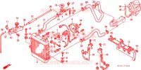 RADIATORE per Honda FORESIGHT 250 1999