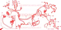 BARDATURA FILO per Honda FORESIGHT 250 2002