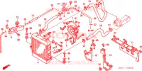 RADIATORE per Honda FORESIGHT 250 2002