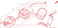 LUCE CODA per Honda SHADOW 125 2007
