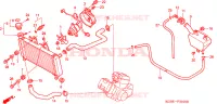 RADIATORE per Honda SHADOW 125 2007