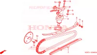 CATENA CAMMA/TENSIONE per Honda AROBASE 125 STOP AND GO 2004