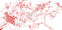 RADIATORE  per Honda CBR 125 TWO TONE 2006