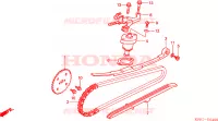 CATENA CAMMA/TENSIONE per Honda SH 125 2002
