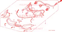 LUCE COMBINAZIONE POST. per Honda DYLAN 150 2009