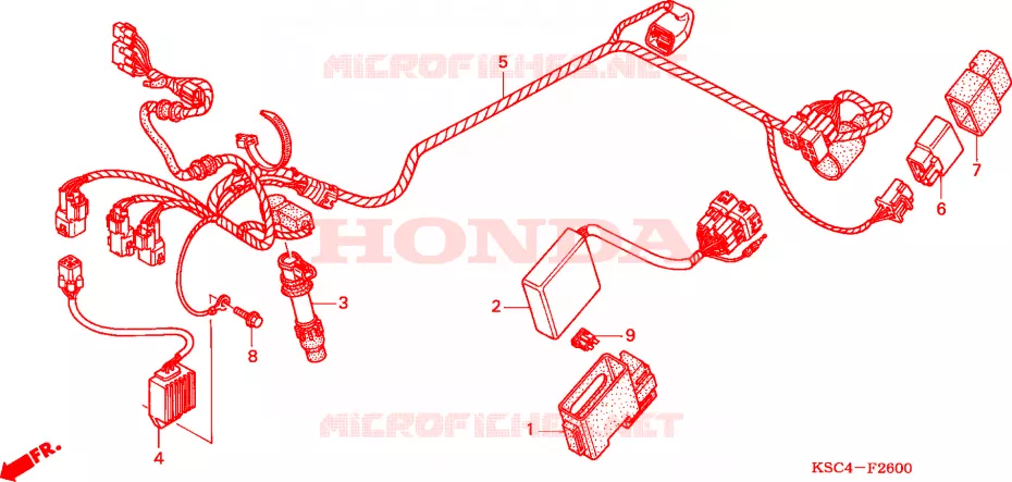 BARDATURA FILO Honda MOTO 250 CRF 2005  CRF250X5