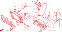 RADIATORE per Honda NSR 125 R 1991