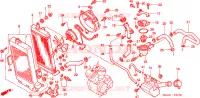 RADIATORE per Honda SHADOW VT 750 Hamamatsu factory 2000